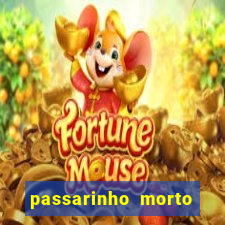 passarinho morto significado espiritual